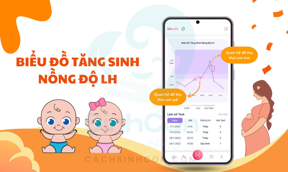 Xác định thời điểm quan hệ bằng biều đồ tăng sinh LH