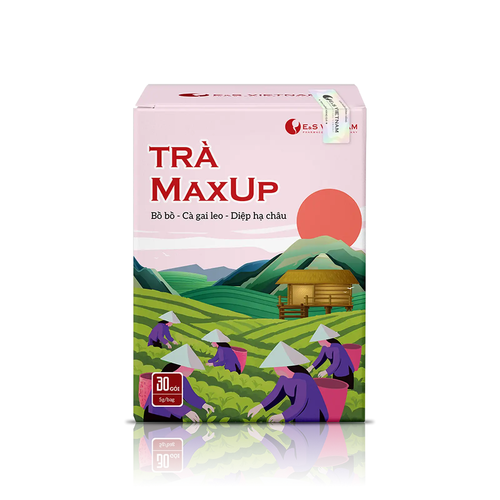 Trà MAXUP mát gan, giải độc gan